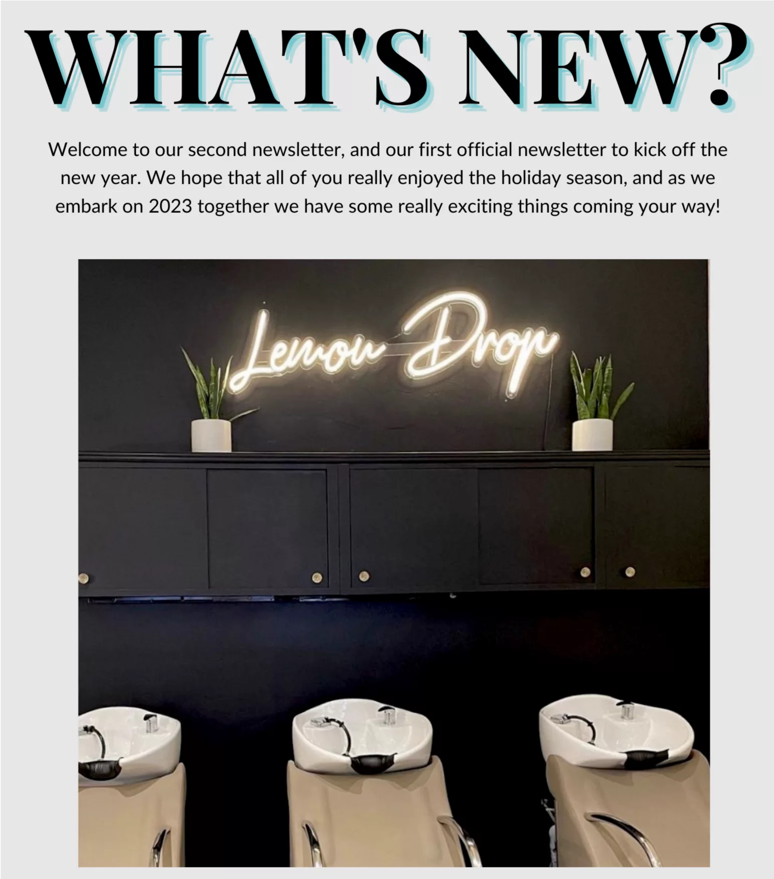 Blog 14 january newsletter