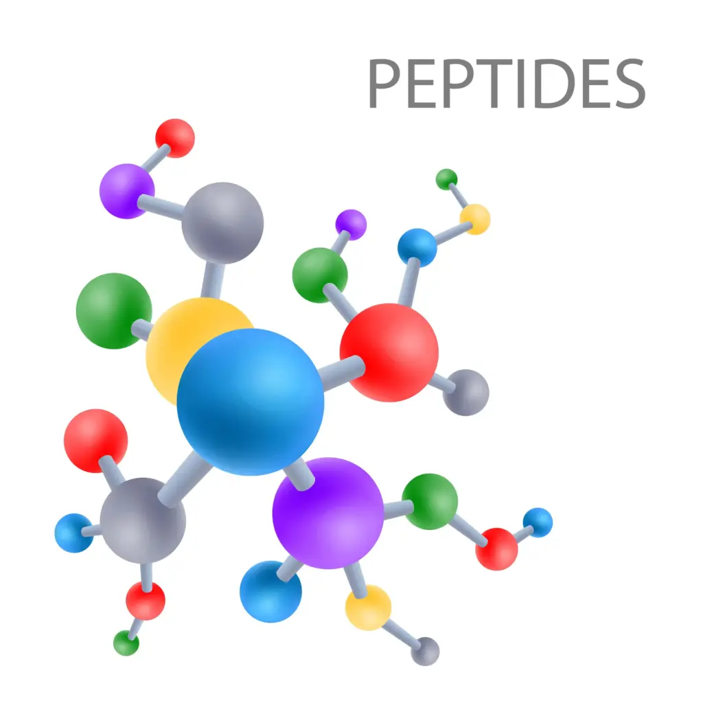 Portfolio 1 Peptide